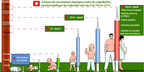 Vaccination coqueluche